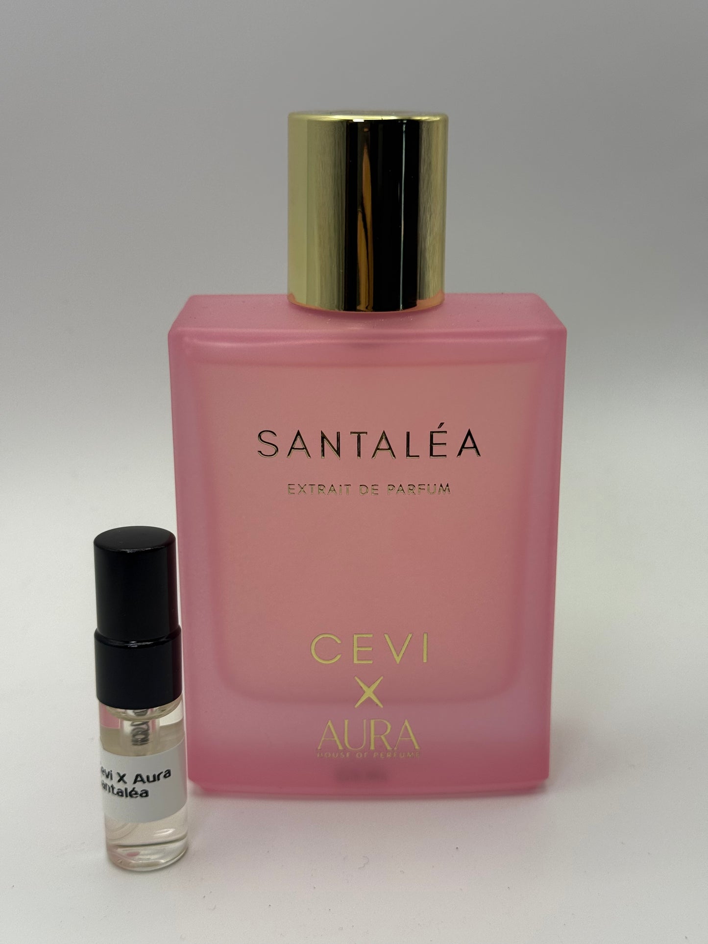 Cevi X Aura Santalea