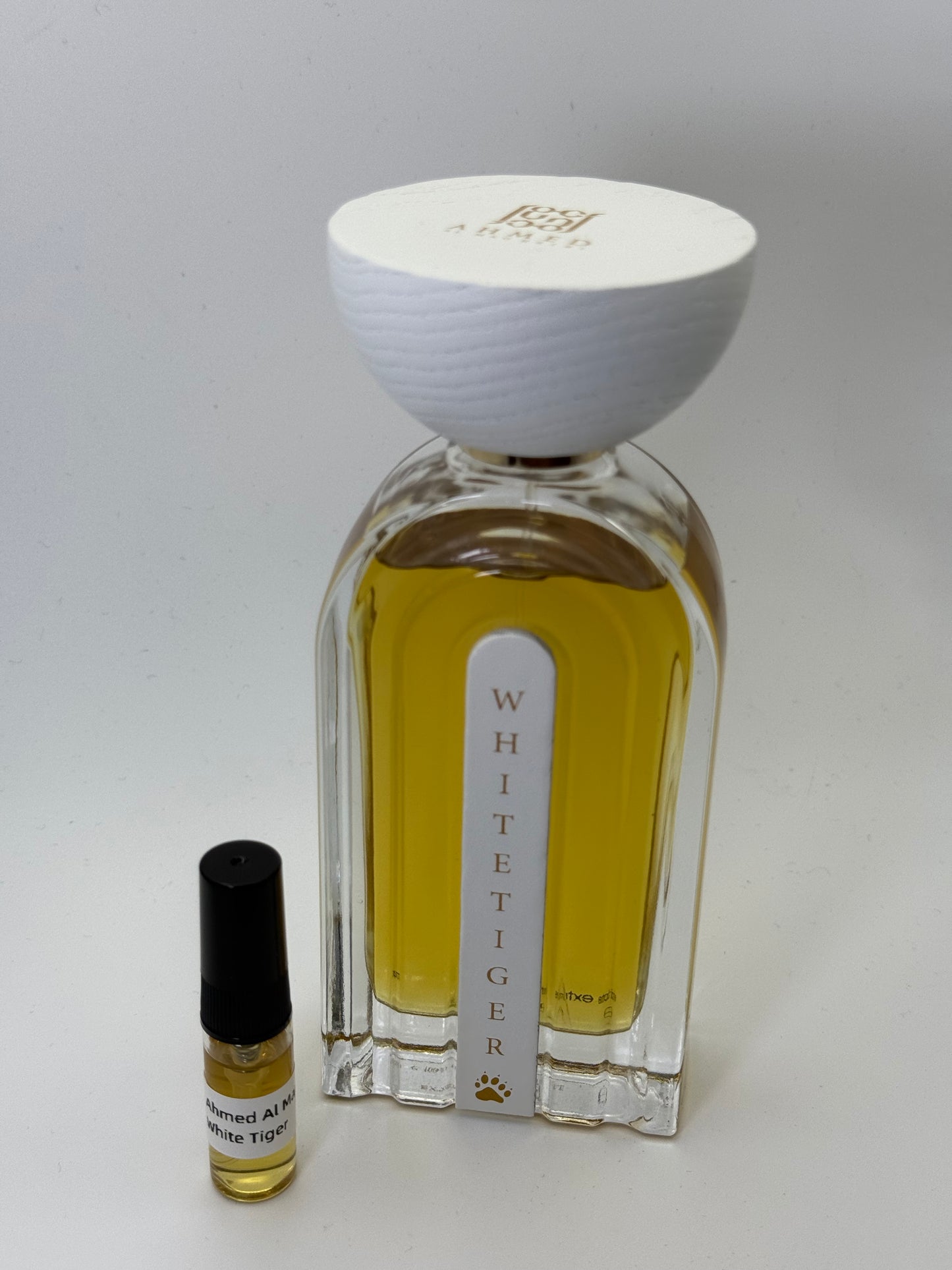 Ahmed Al Maghribi White TIger